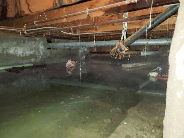 Reliable Mystic, CT Water damage restoration Solutions