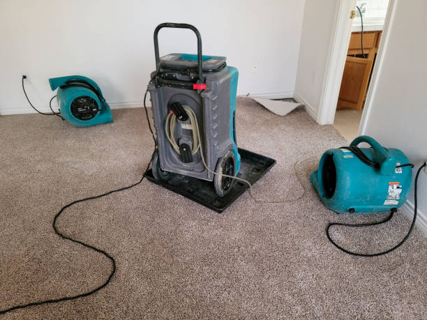 Best Sewage cleanup and water damage restoration  in Mystic, CT