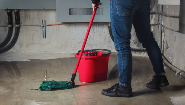 Best Water damage cleanup near me  in Mystic, CT