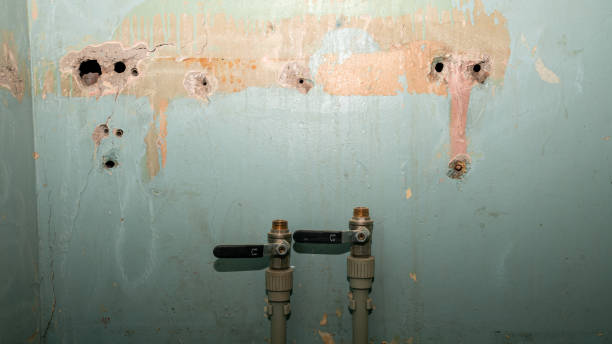 Best Ceiling water damage repair  in Mystic, CT