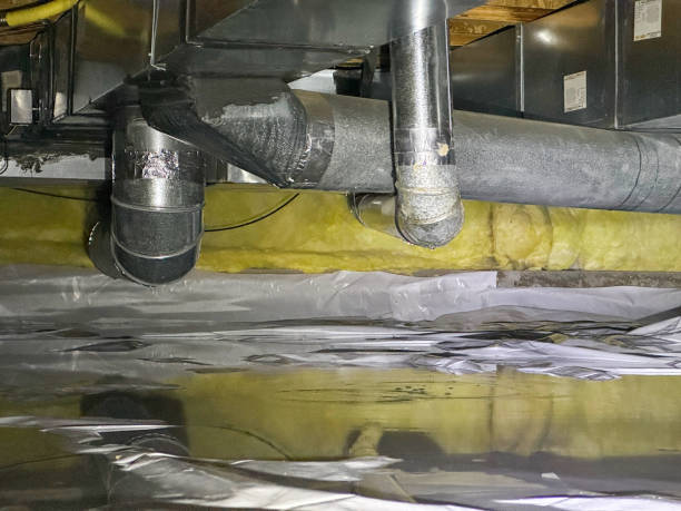 Best Mold removal after water damage  in Mystic, CT